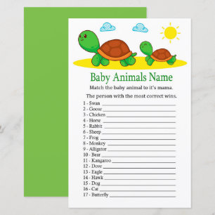 Tortue Bébé Animaux Nom Jeu