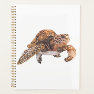 Tortue Copie Copie Copie Copie Copie Copie Copie C