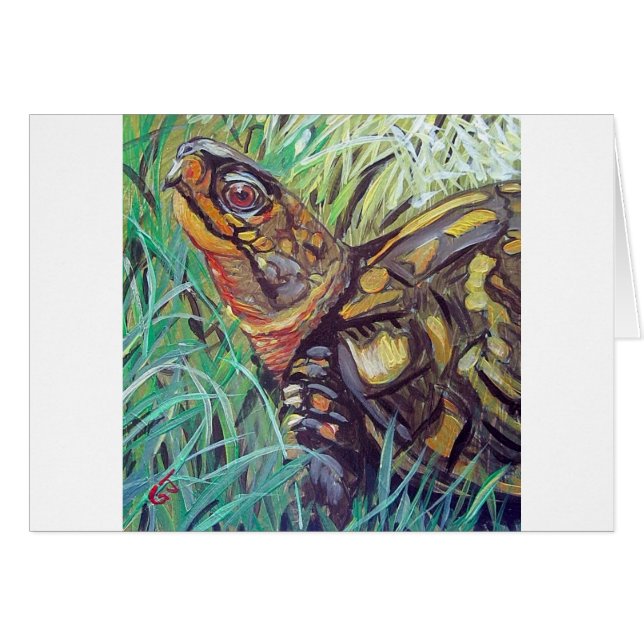 Tortue de boîte (Devant horizontal)