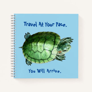 Tortue de cahier