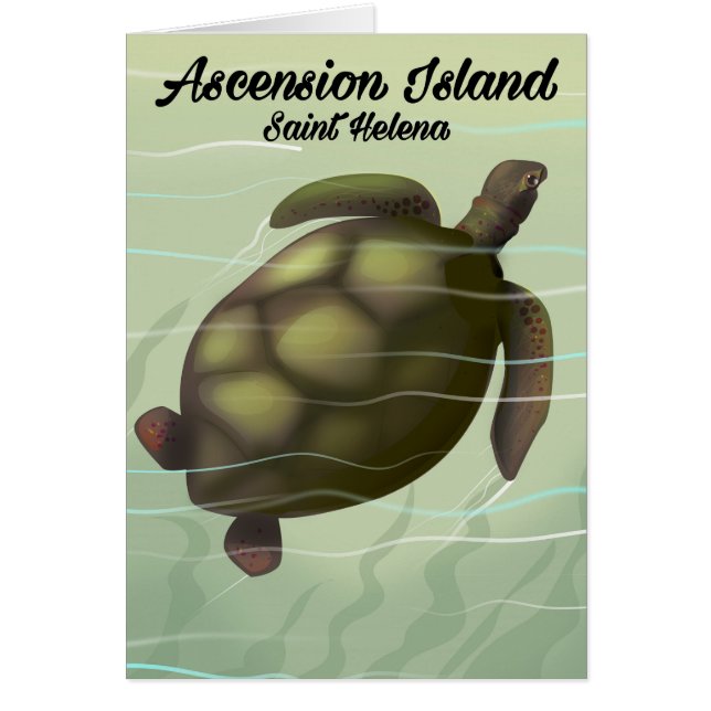 Tortue de mer de l'île de l'Ascension (Devant)