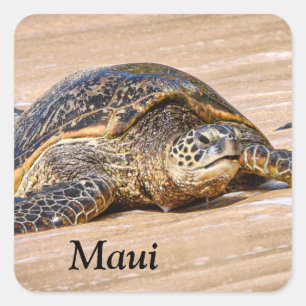 Tortue de mer Maui sur un autocollant de plage