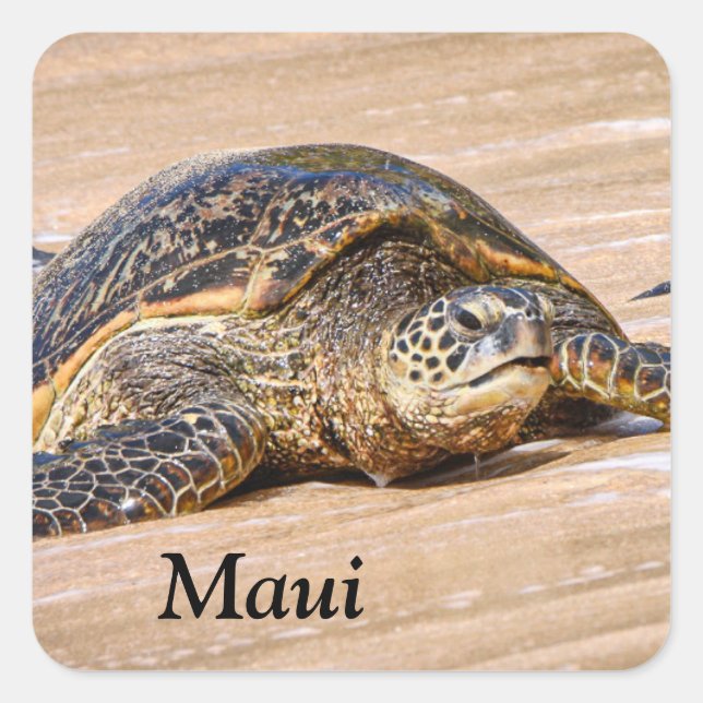 Tortue de mer Maui sur un autocollant de plage (Devant)