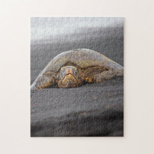 Tortue de mer - plage noire de sable - puzzle
