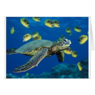 Tortue de mer verte