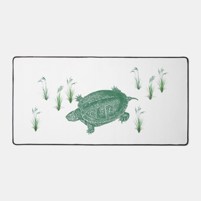 Tortue de mer verte (Recto)