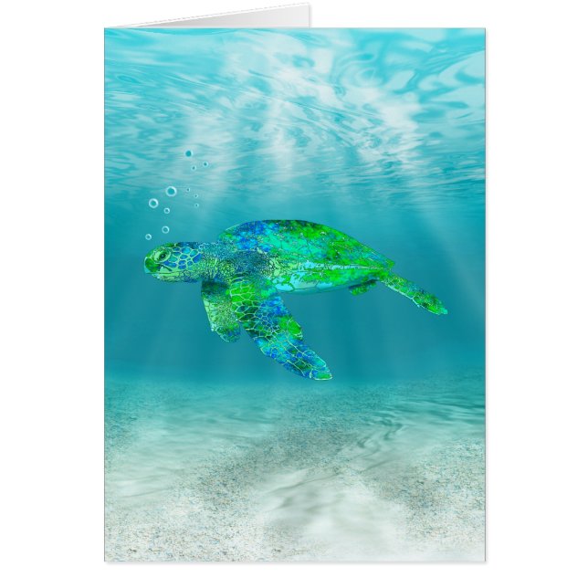 Tortue de mer verte (Devant)