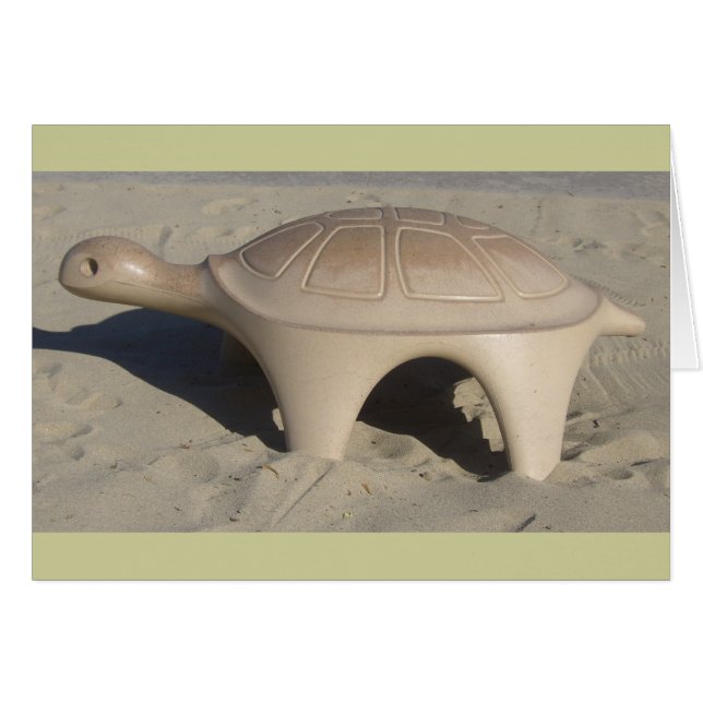 Tortue de terrain de jeu (Devant horizontal)