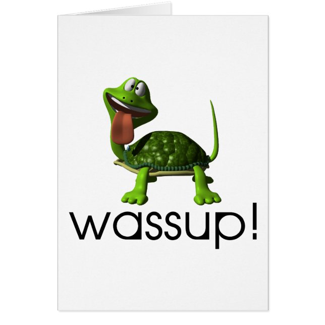 Tortue de Wassup (Devant)