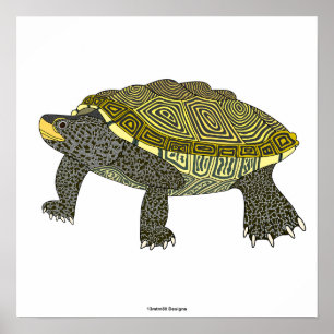 Tortue diamantée (blanche) - Affiche imprimée