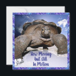 Tortue - Drôle carte d'anniversaire<br><div class="desc">Une petite carte mignonne vous permet de mettre un chevalet et de le placer sur un manteau ou un bureau.</div>