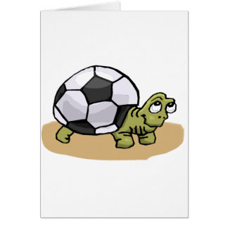 Tortue du football