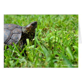 tortue en bois ornée à l'air droit