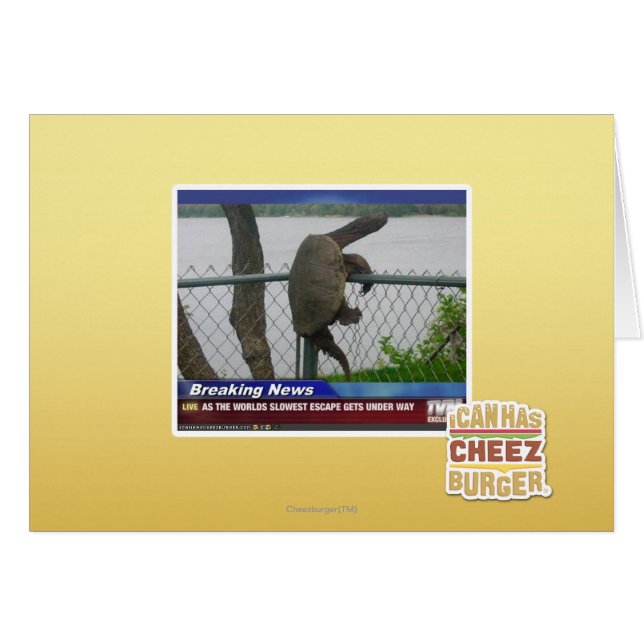 Tortue en voie de disparition (Devant horizontal)