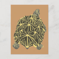 Tortue étoile noire et jaune, peinture cartes post