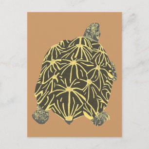 Tortue étoile noire et jaune, peinture cartes post