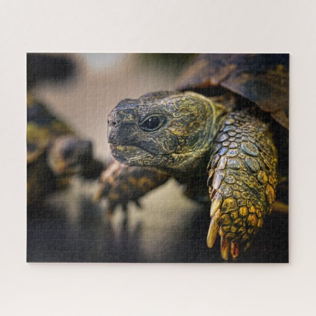 Tortue, Jigsaw Puzzle (Horizontal)