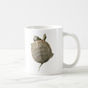Tortue minuscule qui rampe du côté de la Mug