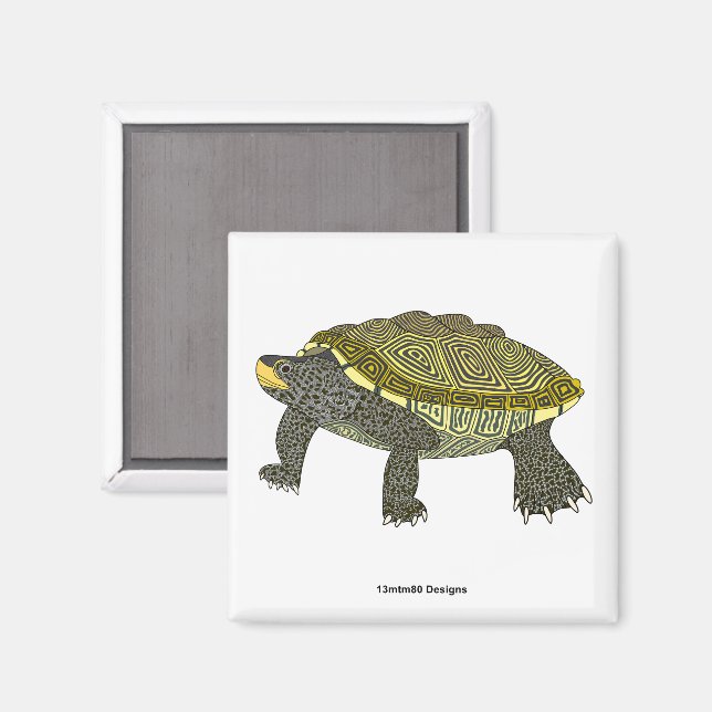 Tortue serpentine (blanche) - Aimant carré (Recto/Verso)