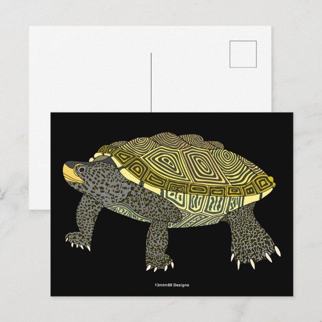 Tortue serpentine (noire) - Carte postale (Devant / Derrière)