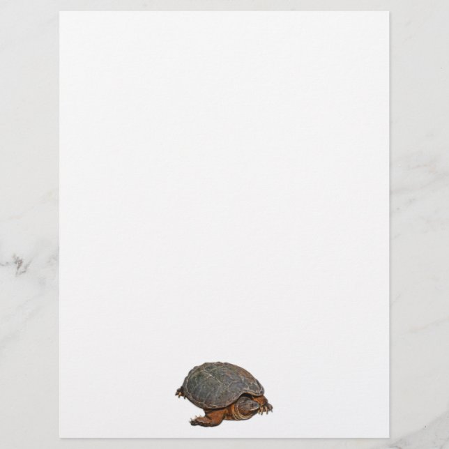 Tortue serpentine Terrapin-lover Cadeau (Devant)