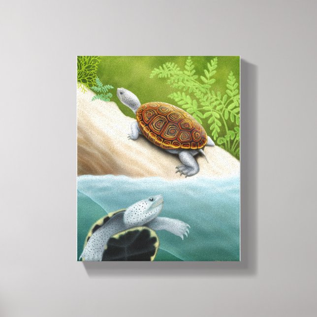 Tortues Terrapin Diamondback Toile Enveloppée (Recto)