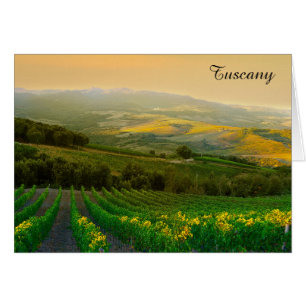 Toscane Italie Vignoble italien Photo