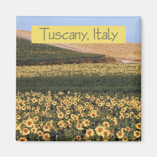 Toscane Italie Voyage Souvenir Photo Frigo Magnet