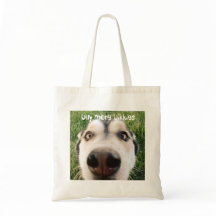 Achetez plus de bikkies