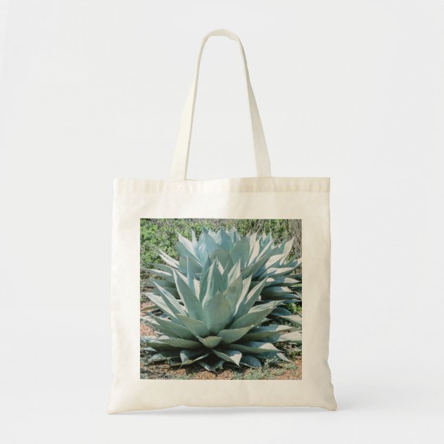 Tote Bag Agave Succulent Plante Cactus Vert sauge (Devant)