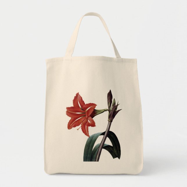 Tote Bag Amaryllis barrée (Devant)