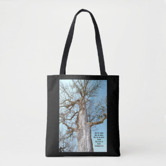 Tote Bag Ancien Ash Zacharie 4:6