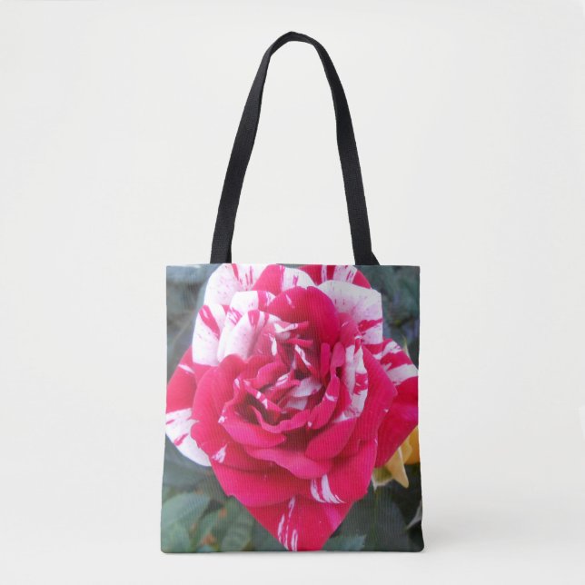 Tote Bag Anicia (Devant)