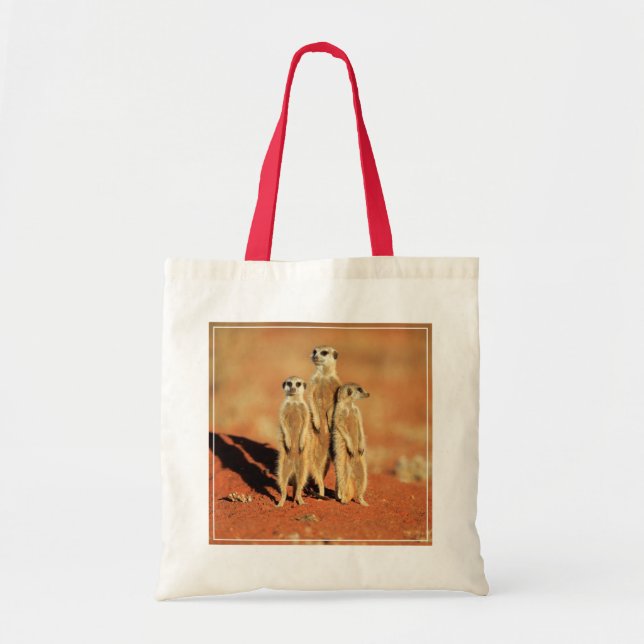 Tote Bag Animaux de bébés cutest | 3 Meerkats (Devant)