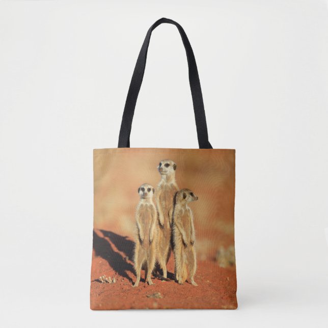 Tote Bag Animaux de bébés cutest | 3 Meerkats (Devant)