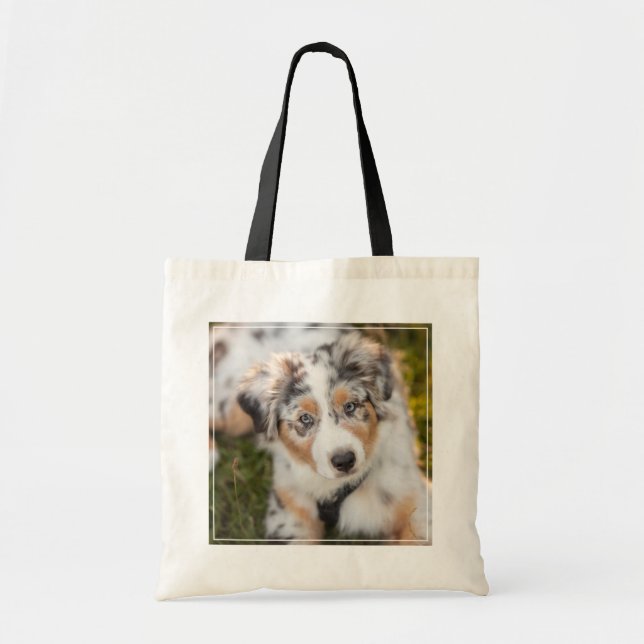 Tote Bag Animaux de bébés cutest | Australian Shepherd Pupp (Devant)