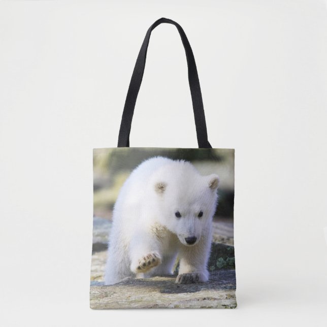 Tote Bag Animaux de bébés cutest | Bébé Ours Polaire Cub (Devant)