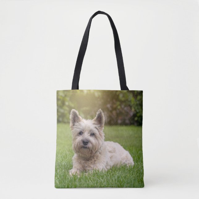 Tote Bag Animaux de bébés cutest | Cairn Terrier Dog (Devant)