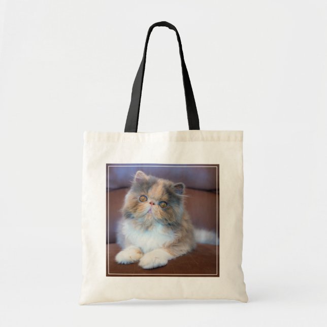 Tote Bag Animaux de bébés cutest | Calico Persian Kitten (Devant)