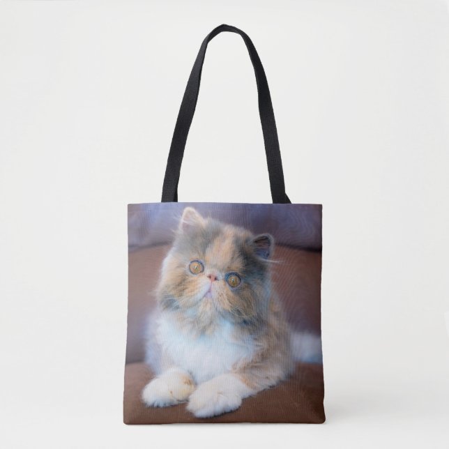 Tote Bag Animaux de bébés cutest | Calico Persian Kitten (Devant)