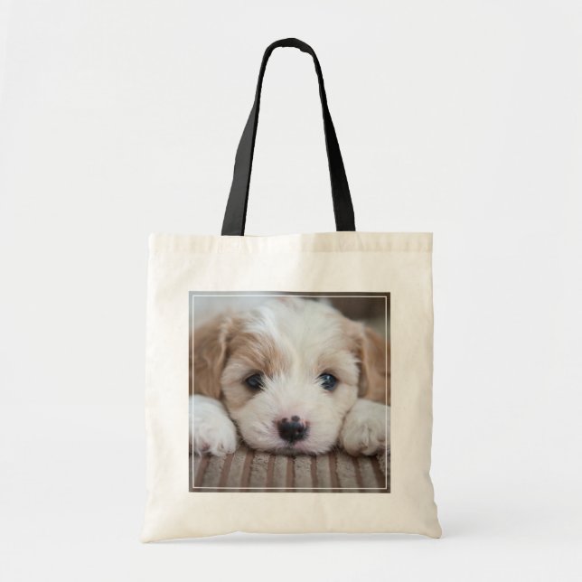 Tote Bag Animaux de bébés cutest | Cavashon Puppy (Devant)