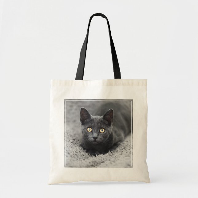 Tote Bag Animaux de bébés cutest | Chat gris (Devant)