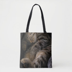 Tote Bag Animaux de bébés cutest   Chat Tabby Dormant