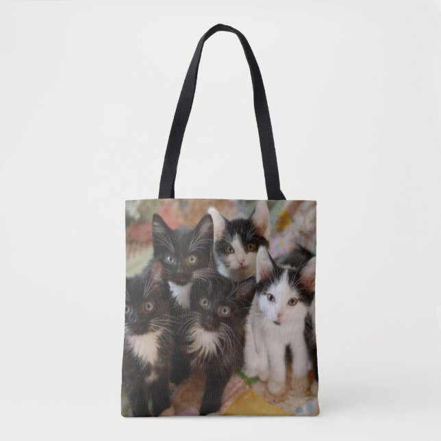 Tote Bag Animaux de bébés cutest | Chatons noirs et blancs (Devant)