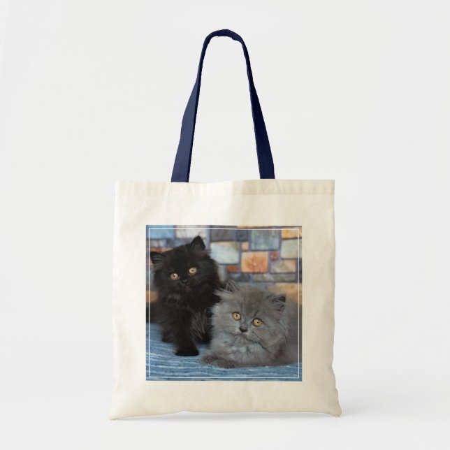 Tote Bag Animaux de bébés cutest | Chatons persans sur couv (Devant)