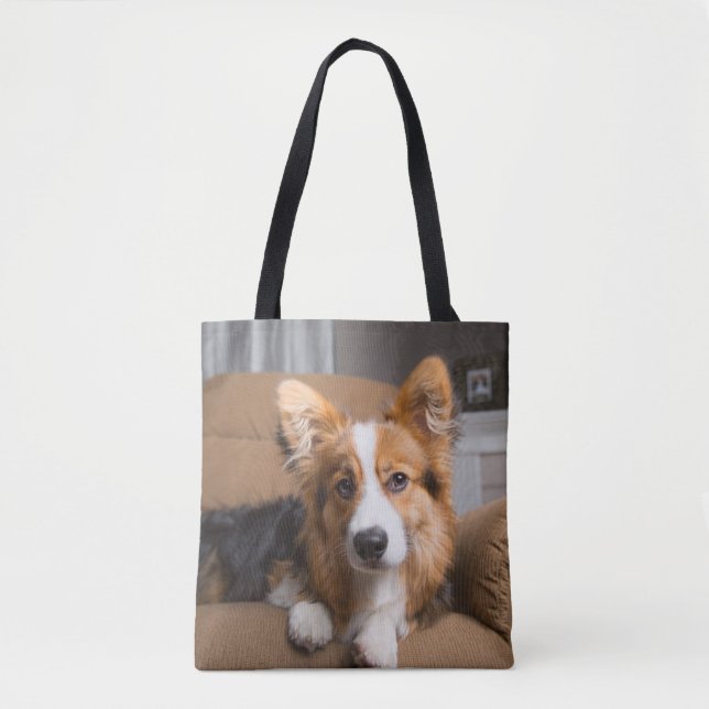 Tote Bag Animaux de bébés cutest | Coiffeuse à cheveux long (Devant)