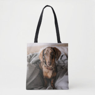 Tote Bag Animaux de bébés cutest   Dachshund Dachshund Dach