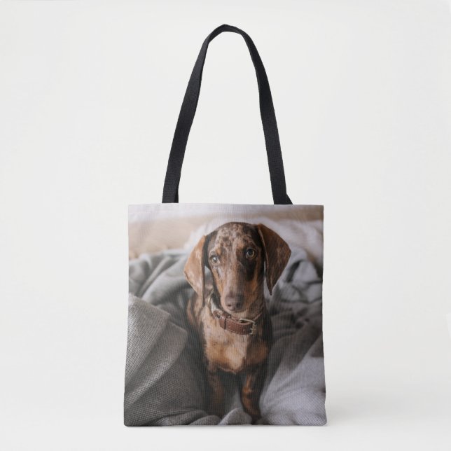 Tote Bag Animaux de bébés cutest | Dachshund Dachshund Dach (Devant)
