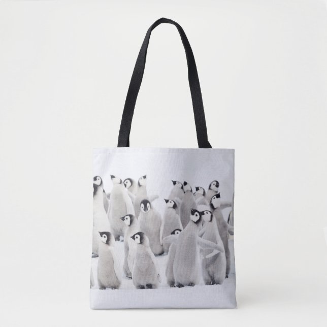 Tote Bag Animaux de bébés cutest | Empereur Penguin Chicks (Devant)