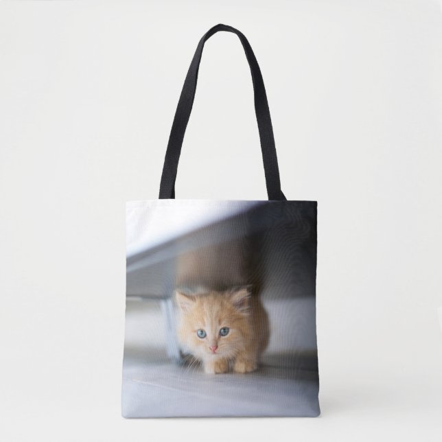 Tote Bag Animaux de bébés cutest | Fluffy Orange Kitten (Devant)